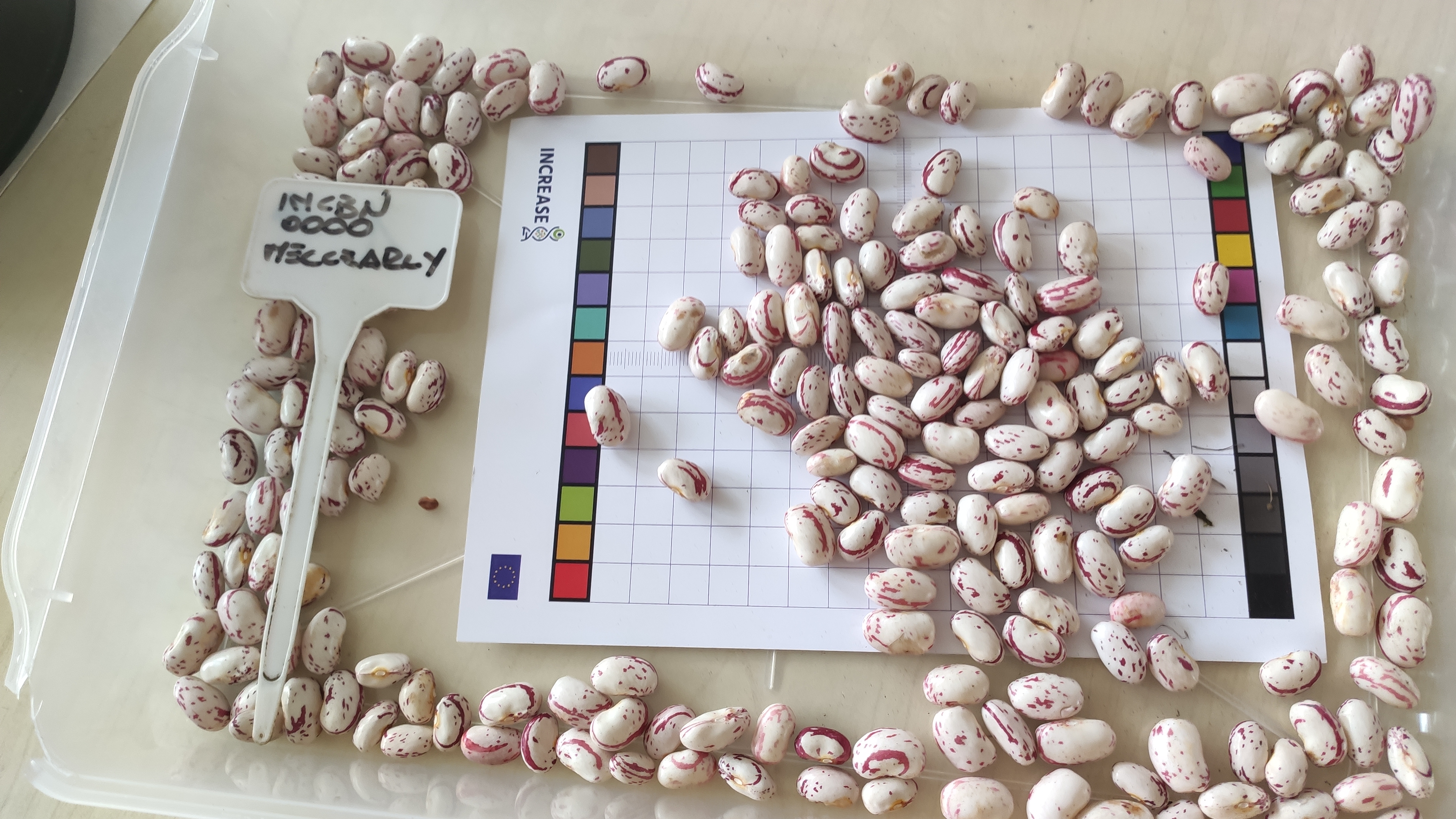 Citizen Science Experiment